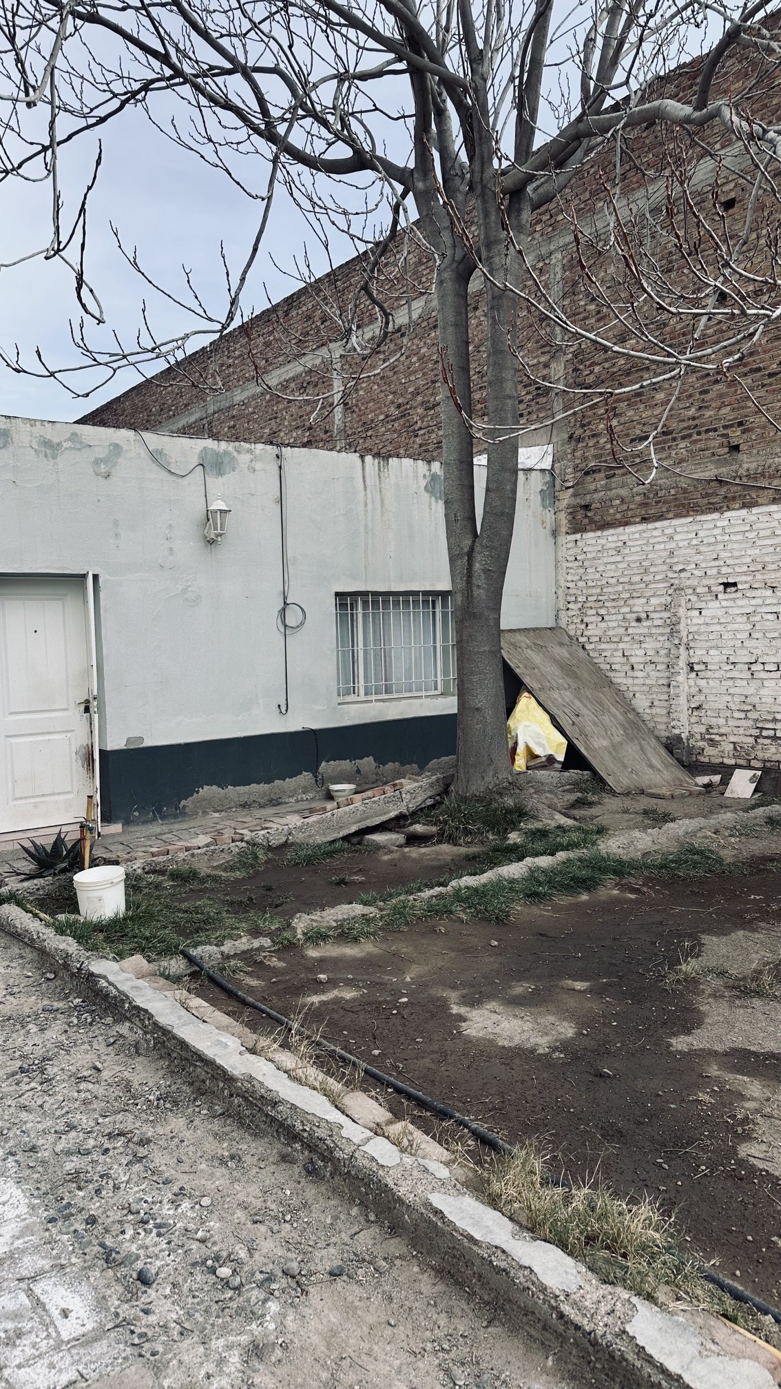 LOTE RIERA 3